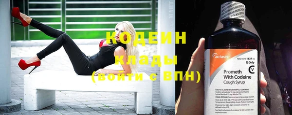 хмурый Гусев
