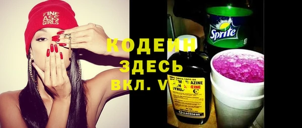 хмурый Гусев