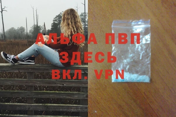 хмурый Гусев