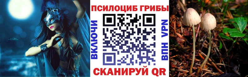 Псилоцибиновые грибы Cubensis  Балашиха 